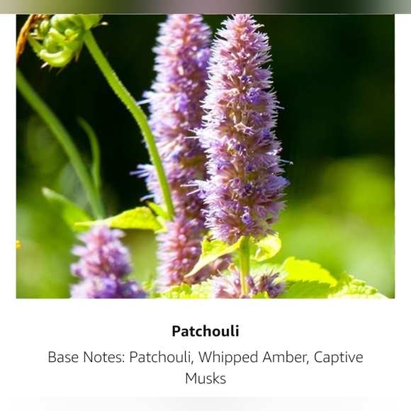 I love Juicy Couture Eau De Parfum Spray 3.4 Oz./ 100 Ml for Women - Picture 6 of 15